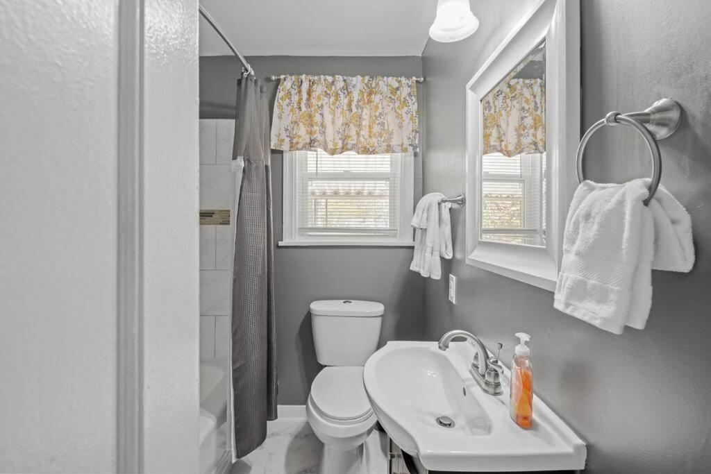 Private House + Yard Central Location To All Rva Richmond Exteriör bild